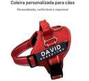 Peitoral Personalizado para Cães | Conforto e Segurança com Fecho Rápido e Refletivo