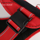 Peitoral Personalizado para Cães | Conforto e Segurança com Fecho Rápido e Refletivo