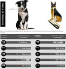 Coleira Cuban Link Reforçada, Aço Inoxidável 304 | Corrente Banhada a Ouro 18K com Fecho de Liberação Rápida para Cães Fortes