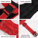 Peitoral Personalizado para Cães | Conforto e Segurança com Fecho Rápido e Refletivo