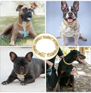 Coleira de luxo com corrente cubana cravejada de pedras | Corrente cravejada com zircônias cúbicas e aço inoxidável para cães e gatos